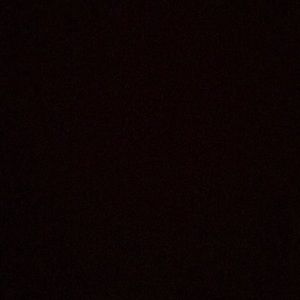 Meet your Posher, Dylan